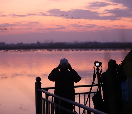Cina: sul lago Donggu attuati progetti di protezione e ripristino ecologico (3)