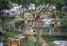 Cina: riaperta l’area dei panda giganti allo zoo di Chongqing (2)