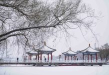 Cina: Changchun imbiancata dopo l’arrivo di un nuovo fronte freddo (1)