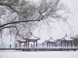 Cina: Changchun imbiancata dopo l’arrivo di un nuovo fronte freddo (1)