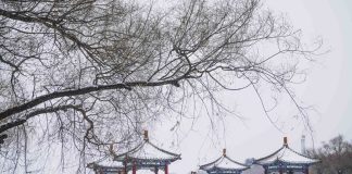 Cina: Changchun imbiancata dopo l’arrivo di un nuovo fronte freddo (1)