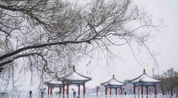 Cina: Changchun imbiancata dopo l’arrivo di un nuovo fronte freddo (1)