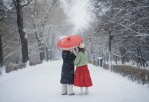 Cina: Changchun imbiancata dopo l’arrivo di un nuovo fronte freddo (2)