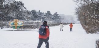 Cina: Changchun imbiancata dopo l’arrivo di un nuovo fronte freddo (3)