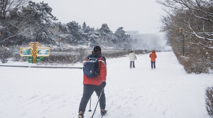 Cina: Changchun imbiancata dopo l’arrivo di un nuovo fronte freddo (3)