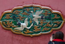 Cina: forti nevicate imbiancano Shenyang nel Liaoning (2)