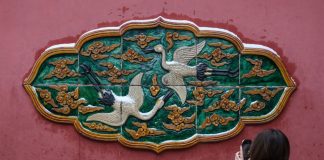 Cina: forti nevicate imbiancano Shenyang nel Liaoning (2)