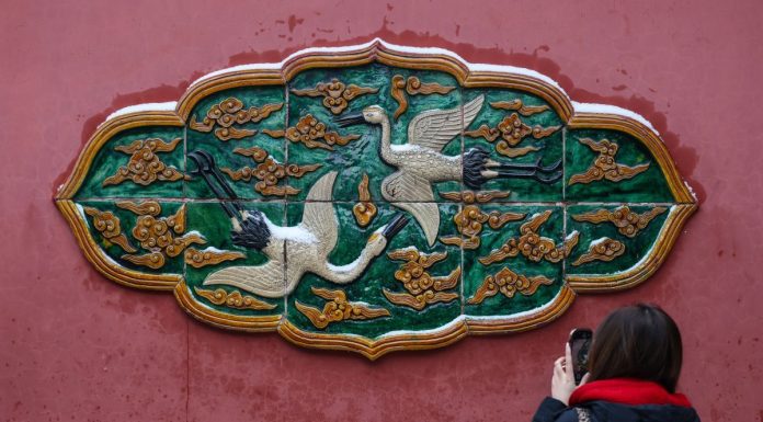 Cina: forti nevicate imbiancano Shenyang nel Liaoning (2)