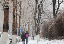 Cina: forti nevicate imbiancano Shenyang nel Liaoning (4)