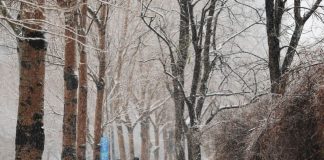 Cina: forti nevicate imbiancano Shenyang nel Liaoning (4)