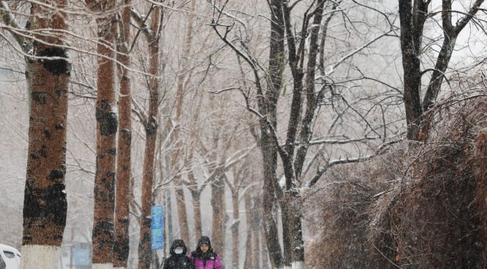 Cina: forti nevicate imbiancano Shenyang nel Liaoning (4)