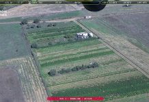 Ad Assemini sequestro record di marijuana e derivati