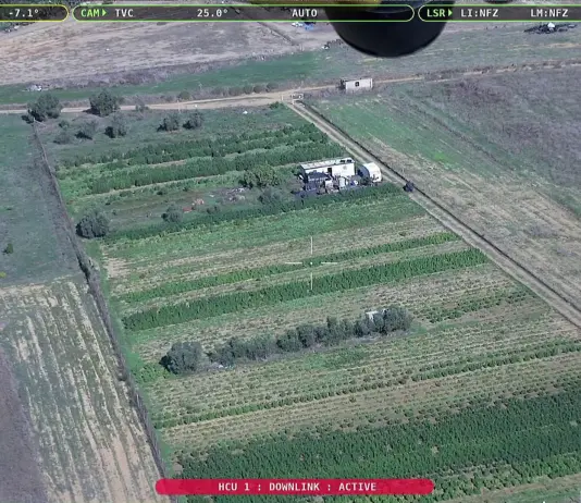 Ad Assemini sequestro record di marijuana e derivati