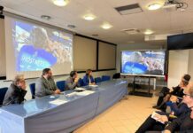 Dal mare all’energia, con “Green Plasma” le reti fantasma diventano risorsa