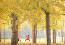 Cina: aspettativa di vita media raggiunge i 79 anni nel 2024