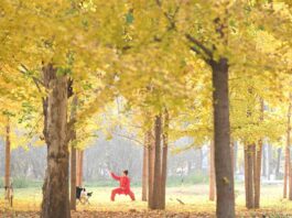 Cina: aspettativa di vita media raggiunge i 79 anni nel 2024