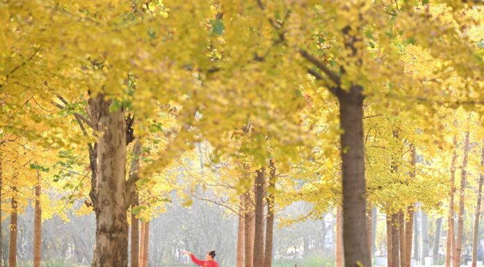 Cina: aspettativa di vita media raggiunge i 79 anni nel 2024