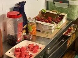 Nas sequestrano a Reggio Calabria una tonnellata di alimenti non conformi