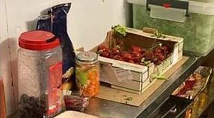 Nas sequestrano a Reggio Calabria una tonnellata di alimenti non conformi