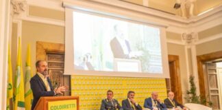 Rapporto Maciste, il mercato illecito del tabacco si sposta online e cambia volto