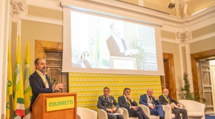 Rapporto Maciste, il mercato illecito del tabacco si sposta online e cambia volto