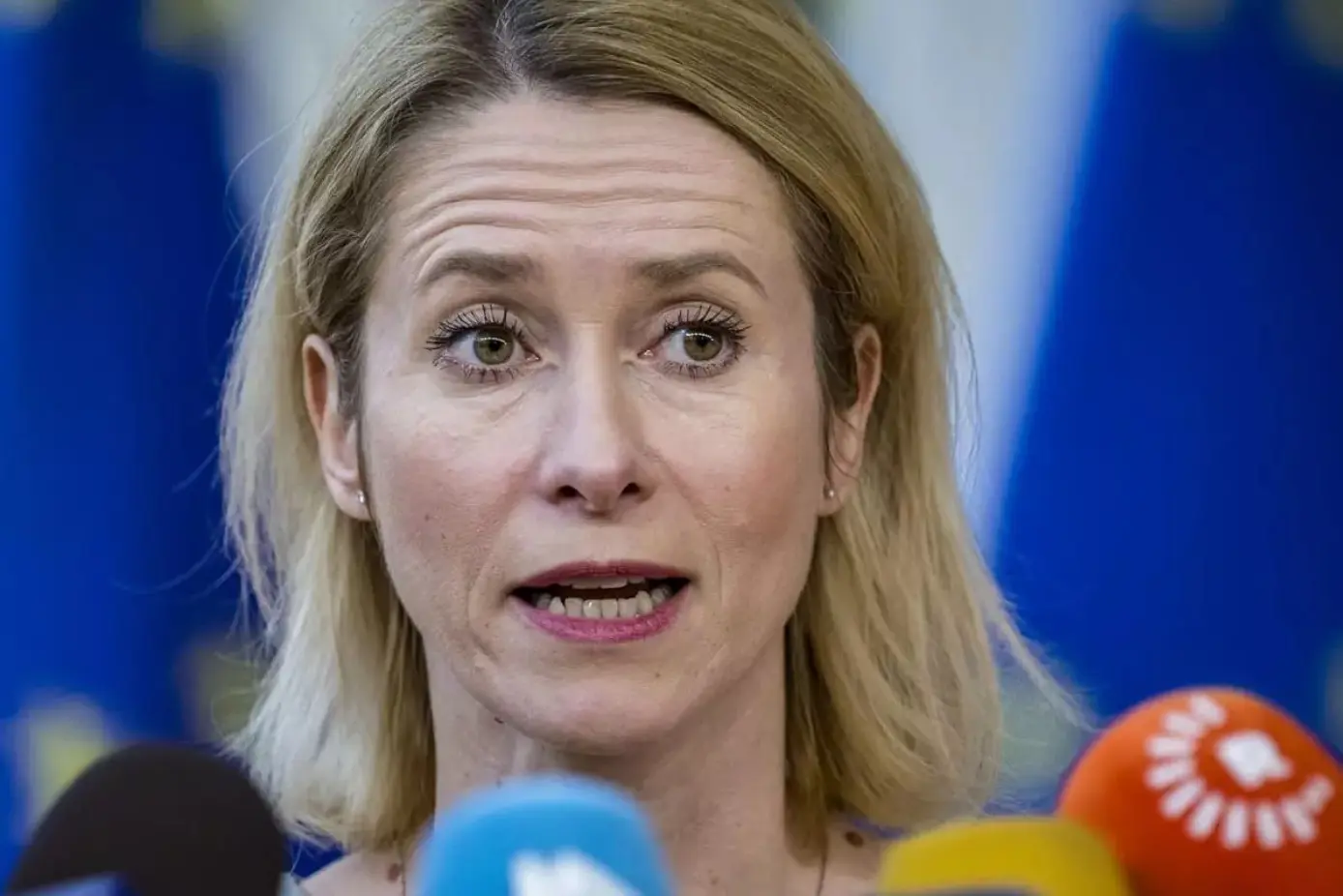 geronimo it si-potenzia-il-verde-urbano-boschi-antismog-e-barriere-per-ridurre-calore-e-polveri-A26423 009