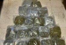 Arrestati a Bologna due trafficanti di droga con 20 kg di marijuana