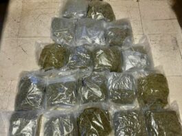 Arrestati a Bologna due trafficanti di droga con 20 kg di marijuana
