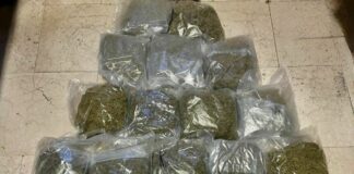 Arrestati a Bologna due trafficanti di droga con 20 kg di marijuana