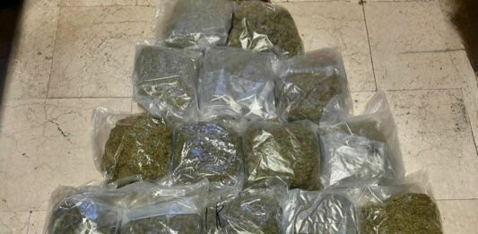 Arrestati a Bologna due trafficanti di droga con 20 kg di marijuana