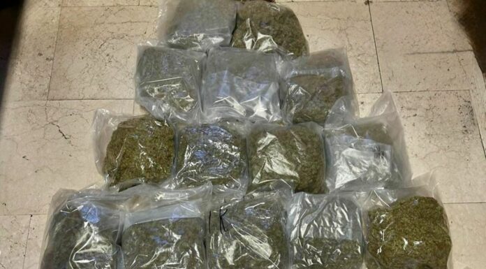 Arrestati a Bologna due trafficanti di droga con 20 kg di marijuana