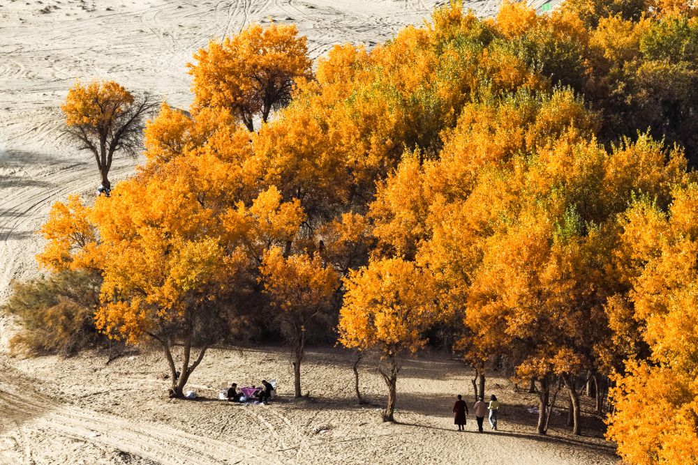 geronimo it uil-colore-del-melogranou-mercoledc-3-dicembre-ore-2045-alcastoro-teatro-via-del-castoro-7-in-occasione-deglihump-day-del-castoro-A67792 010