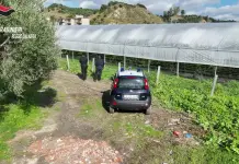 Scoperte nel reggino 35 mila metri quadrati di serre abusive in area protetta