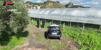 Scoperte nel reggino 35 mila metri quadrati di serre abusive in area protetta
