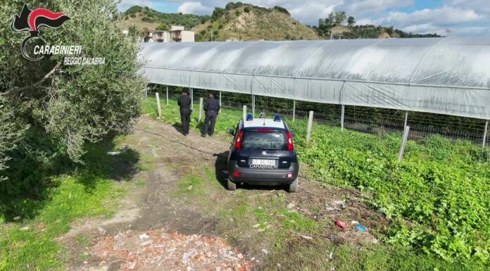 Scoperte nel reggino 35 mila metri quadrati di serre abusive in area protetta