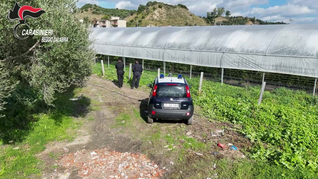 Scoperte nel reggino 35 mila metri quadrati di serre abusive in area protetta Scoperte nel reggino 35 mila metri quadrati di serre abusive in area protetta