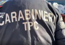 Scavi clandestini e ricettazione beni archeologici, 56 misure cautelari