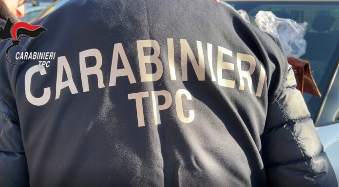 Scavi clandestini e ricettazione beni archeologici, 56 misure cautelari