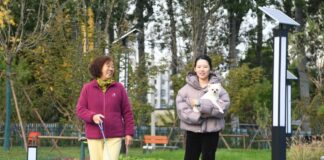 Cina, Shandong spinge sull’innovazione per far crescere l’economia pet