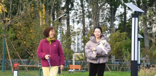 Cina, Shandong spinge sull’innovazione per far crescere l’economia pet