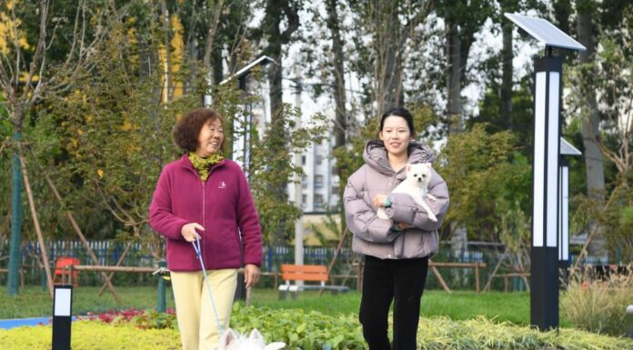 Cina, Shandong spinge sull’innovazione per far crescere l’economia pet