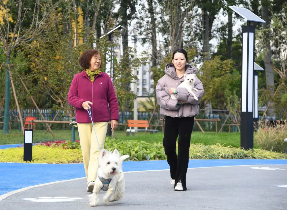 geronimo it oltre-600-nuotatori-da-32-nazioni-cattolica-y-pronta-al-weekend-targato-oceanman-A40860 009