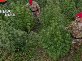 Blitz antidroga in Sardegna, 21 misure cautelari