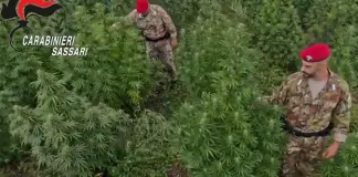 Blitz antidroga in Sardegna, 21 misure cautelari