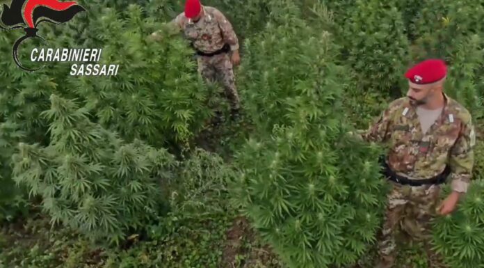 Blitz antidroga in Sardegna, 21 misure cautelari