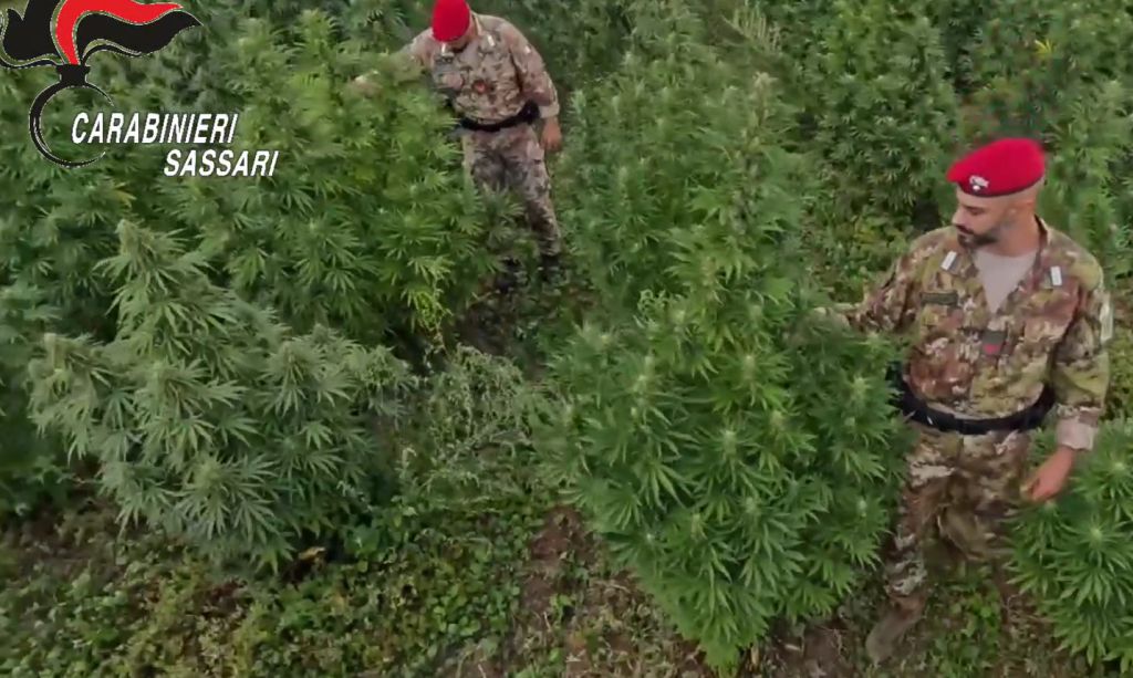 geronimo it la-giunta-da-il-via-libera-alla-demolizione-dell039ex-colonia-enel-pronta-la-riqualificazione-dell039area-A67888 011