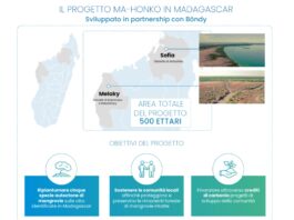 Nasce Neya, società benefit di Mundys focalizzata sulla rimozione del carbonio