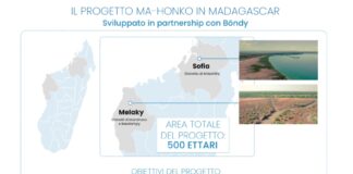 Nasce Neya, società benefit di Mundys focalizzata sulla rimozione del carbonio