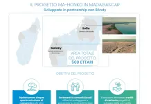 Nasce Neya, società benefit di Mundys focalizzata sulla rimozione del carbonio