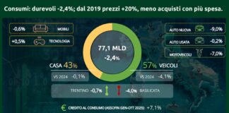 Beni durevoli, consumi -2,4%. Dal 2019 prezzi +20%, meno acquisti con più spesa